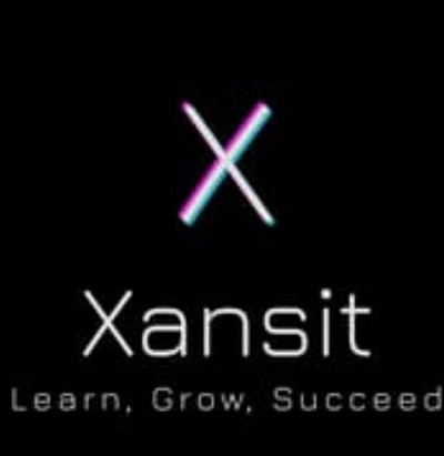Xansit's Logo. Official company's Logo (Worldwide)