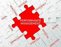 Performance/Strategy